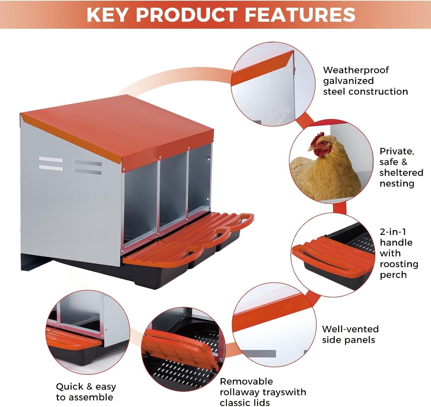 3 Chamber Galvanised Steel Chicken Nest Box Pull-Out Tray