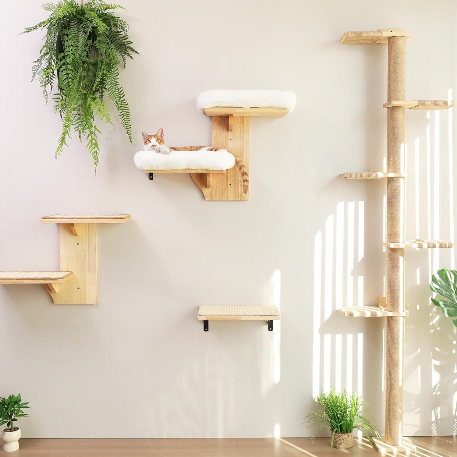 Cat Wall Shelves Tree Shape Floating Perch Wood Platforms w Cushion