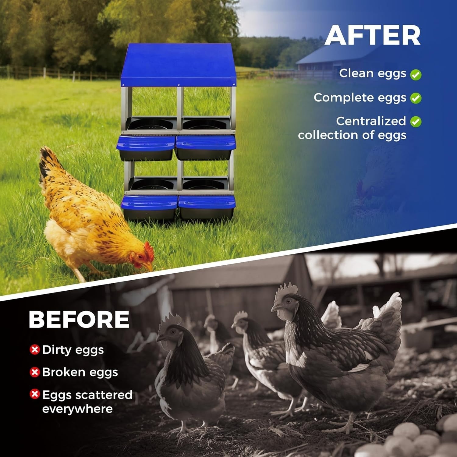 4 Chamber 2 Tier Steel Chicken Nest Box Pull Out Tray
