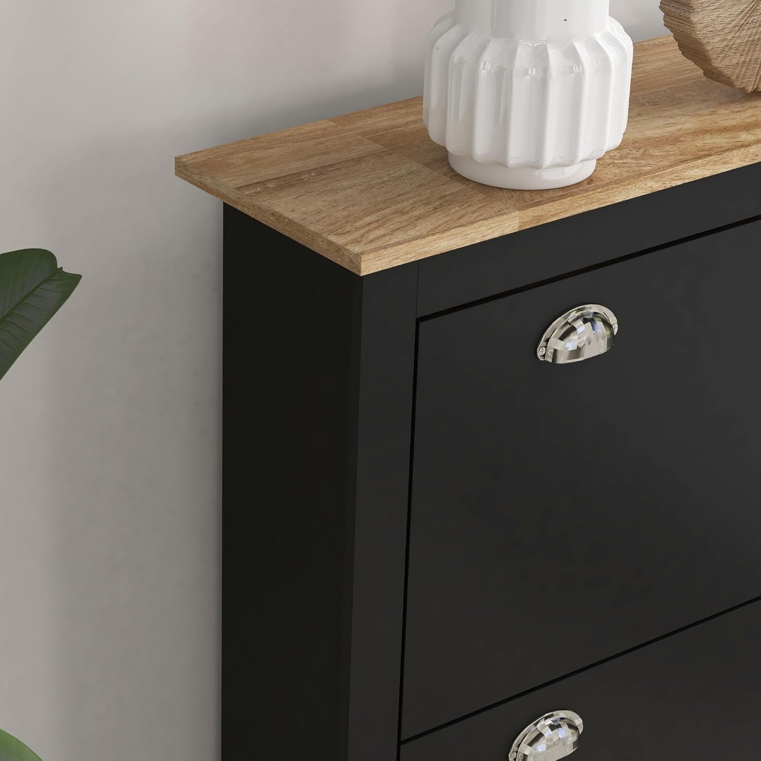 2-Drawer Narrow Shoe Cabinet with Flip Doors & Adjustable Shelves Black