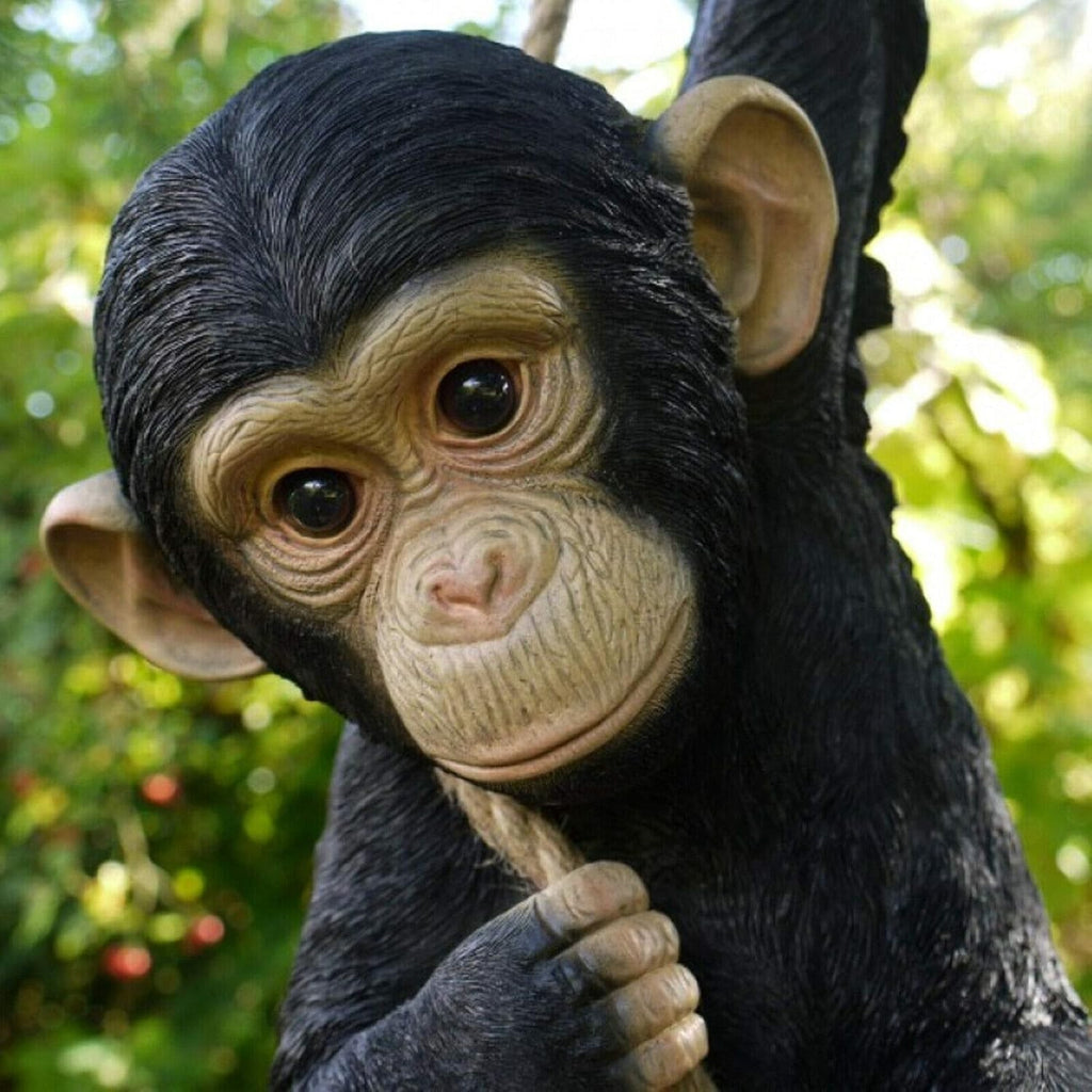 Climbing Monkey Hanging Garden Ornament with Rope ✔ Weatherproof Resin Statue