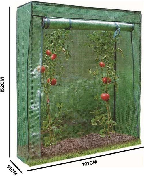 Tomato Greenhouse Reinforced Frame Roll-Up Door Weatherproof 152x101x152cm