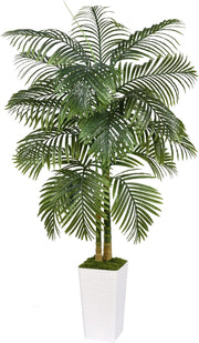 5ft Tall Artificial Tropical Palm Tree in White Planter Indoor Outdoor Decor