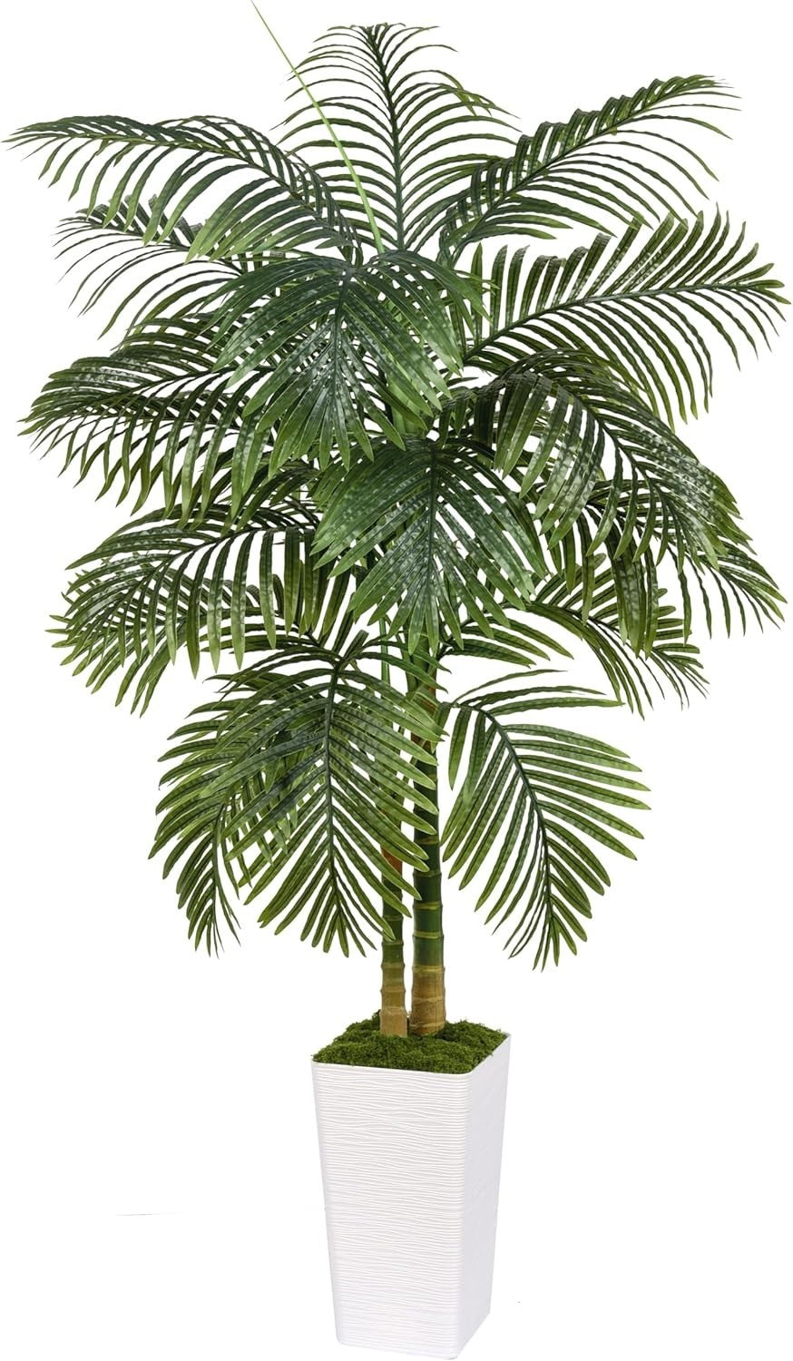 5ft Tall Artificial Tropical Palm Tree in White Planter Indoor Outdoor Decor