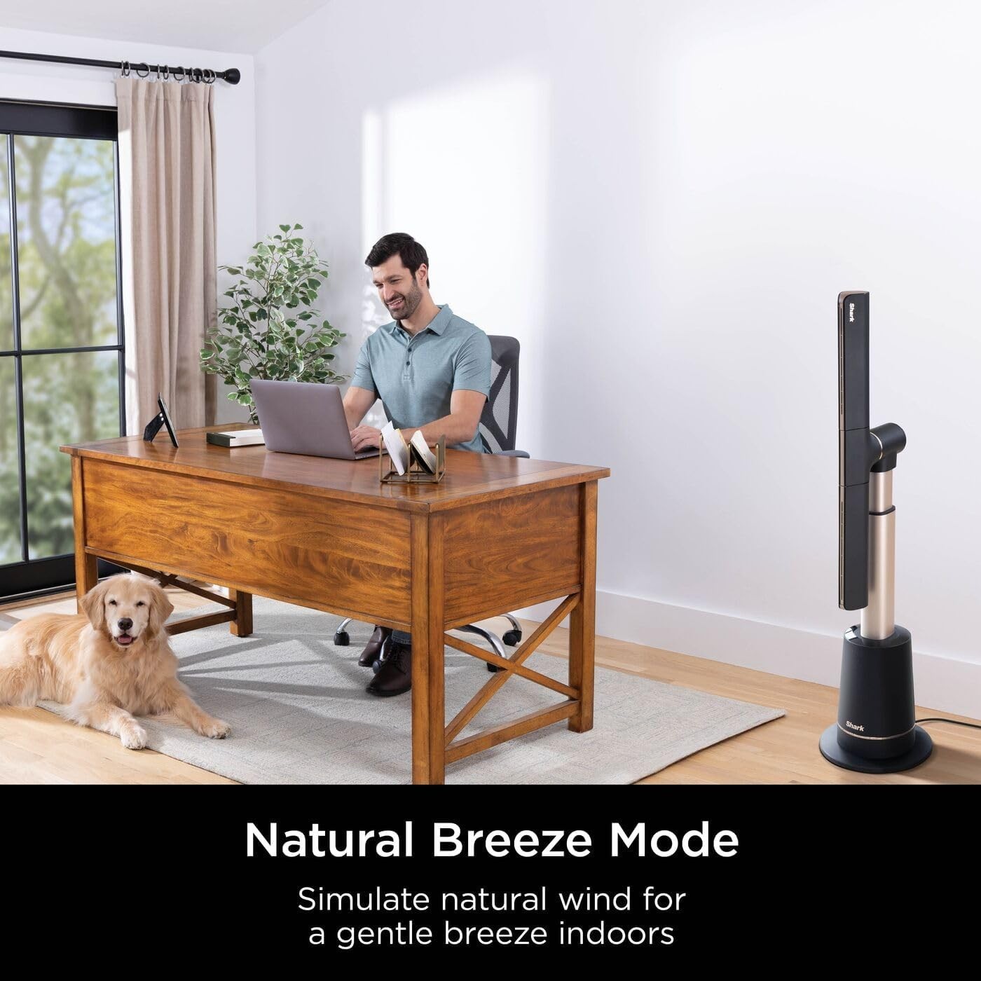 Bladeless Tower Fan Charcoal 10Speed Remote 180° Oscillating Quiet Floor Cooling