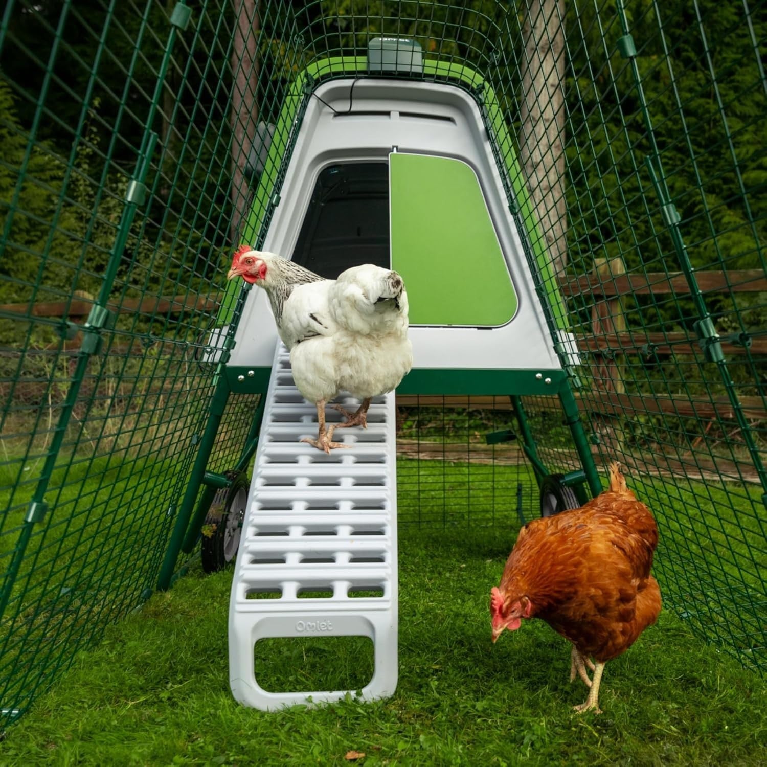 Raised Plastic Chicken Coop 2.18m Easy Clean Weatherproof House