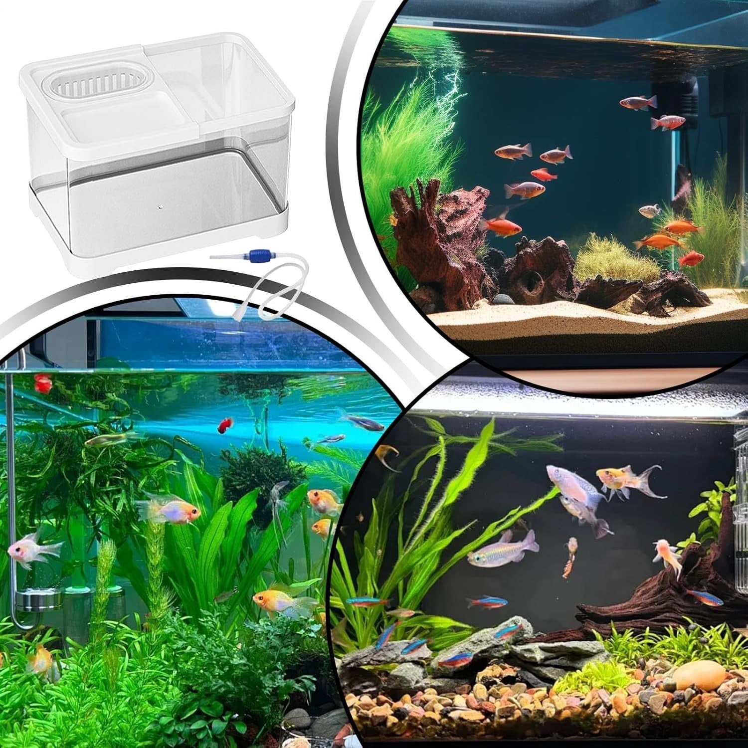 Small Betta Fish Tank with Hydroponic Basket Desktop Aquarium Kit