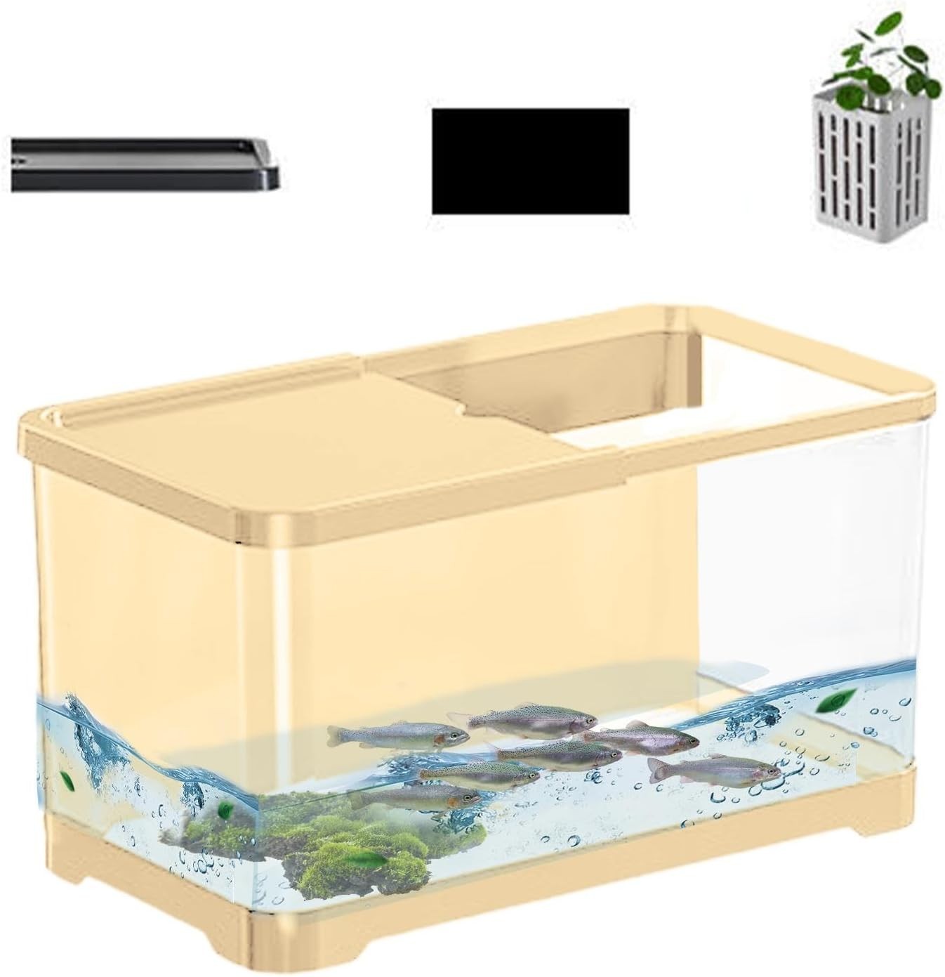 Small Betta Fish Tank Kit with Filter Syphon Clear Desktop Aquarium