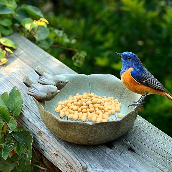 Ceramic Bird Bath Bowl Feeder – Garden Patio Ornament with Twin Bird Design