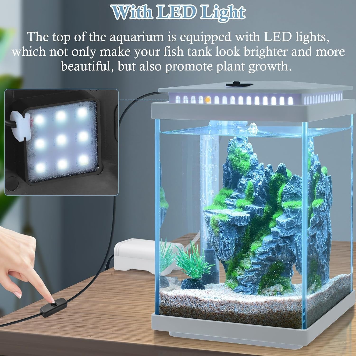 4L Mini Glass Fish Tank Starter Kit with LED Light, Air Pump & Accessories