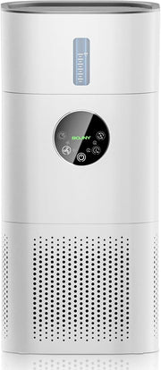 2 in 1 Air Purifier Humidifier H13 HEPA Quiet 25dB Bedroom