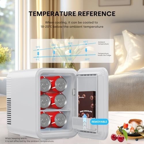 4L Mini Fridge Portable Cooler Warmer AC+DC Power for Drinks Skincare