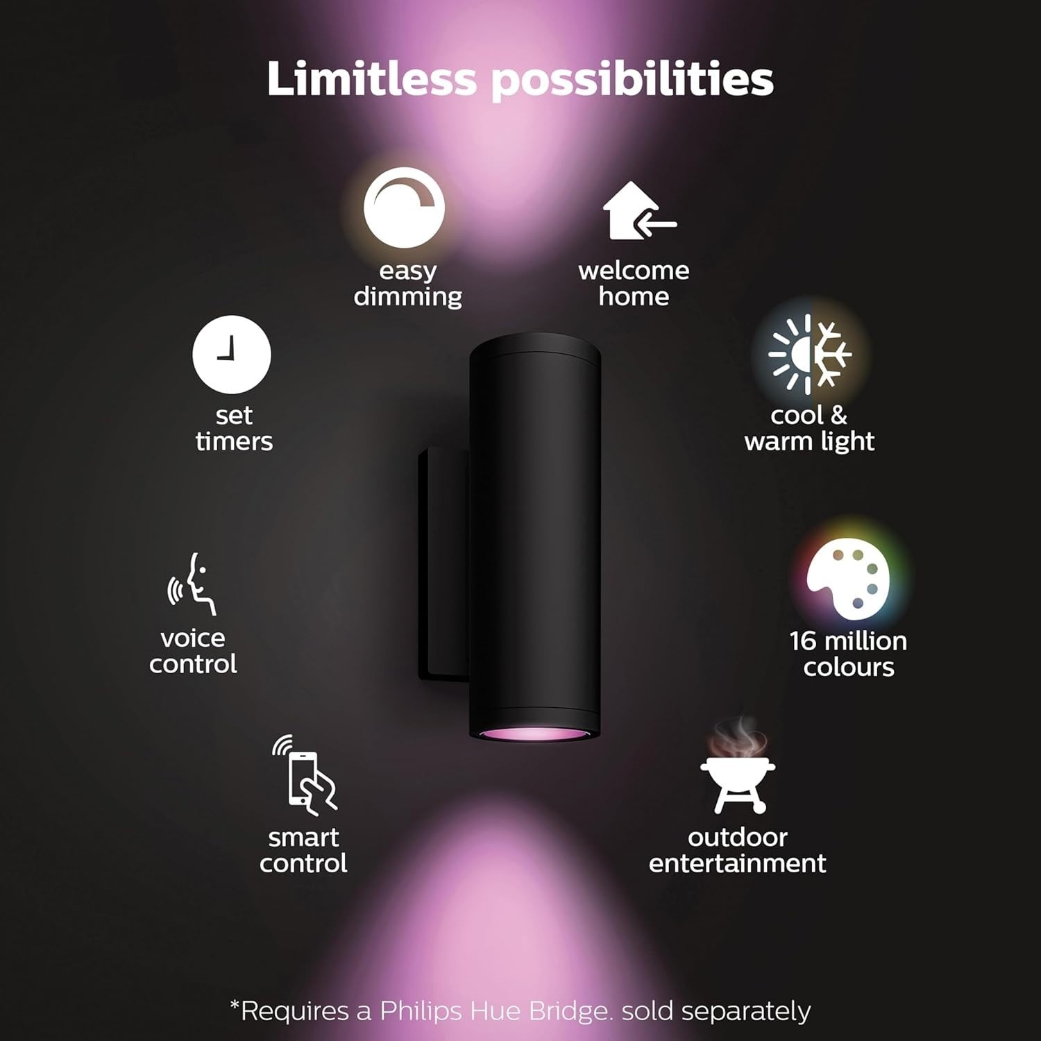 Smart Outdoor LED Wall Light 16W RGB Colour with Alexa & Google Control