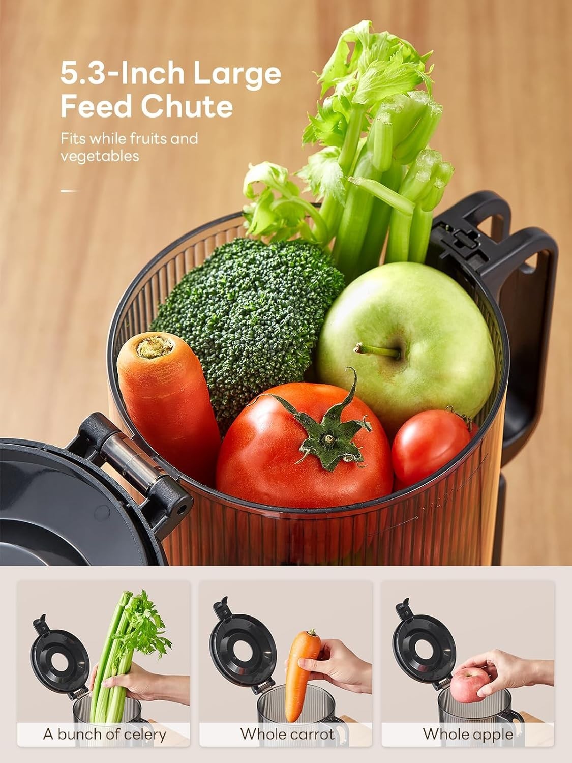 Cold Press Juicer 140mm Feed Chute Whole Fruit Slow Juicer 300W High Yield