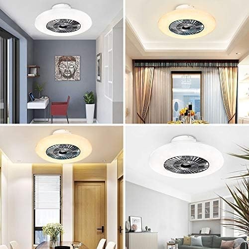 PADMA 60CM Ceiling Fan with LED Light, Dimmable, Reversible, Remote