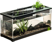Acrylic Desktop Fish Tank with Filter & LED Light – Small Tabletop Aquarium