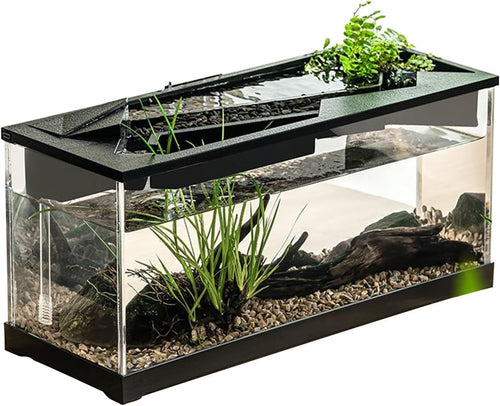 Acrylic Desktop Fish Tank with Filter & LED Light – Small Tabletop Aquarium