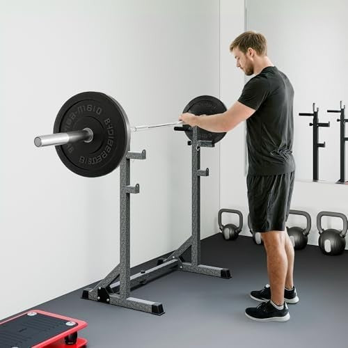 Adjustable Squat Rack & Dip Station Heavy Duty Barbell Rack Home Gym