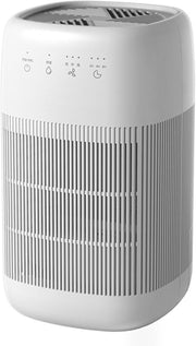 2 in 1 Air Purifier Dehumidifier H13 HEPA Quiet Home Bedroom