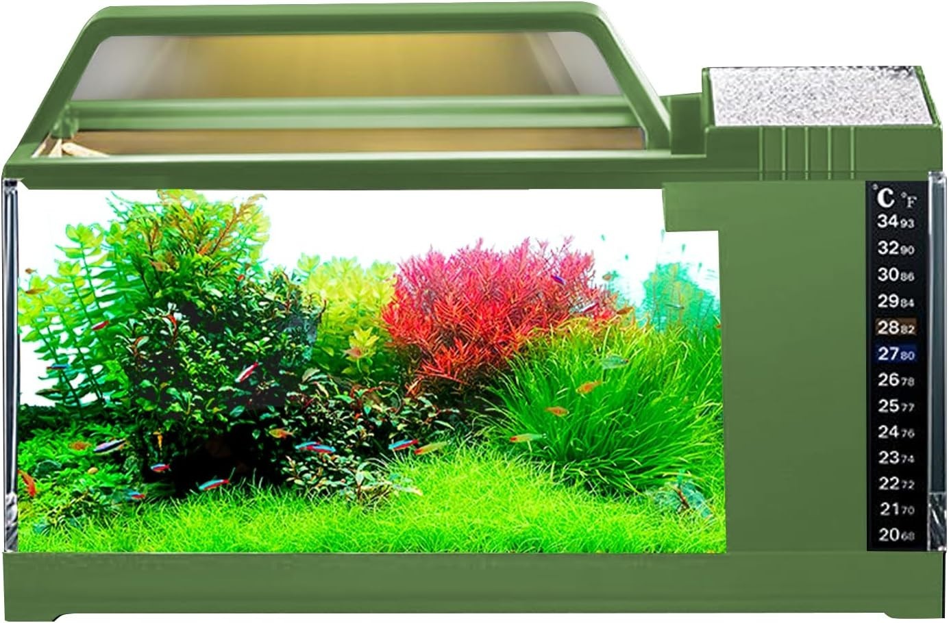 Betta Fish Tank Kit | Small Aquarium LED Light & Quiet Filter Pump