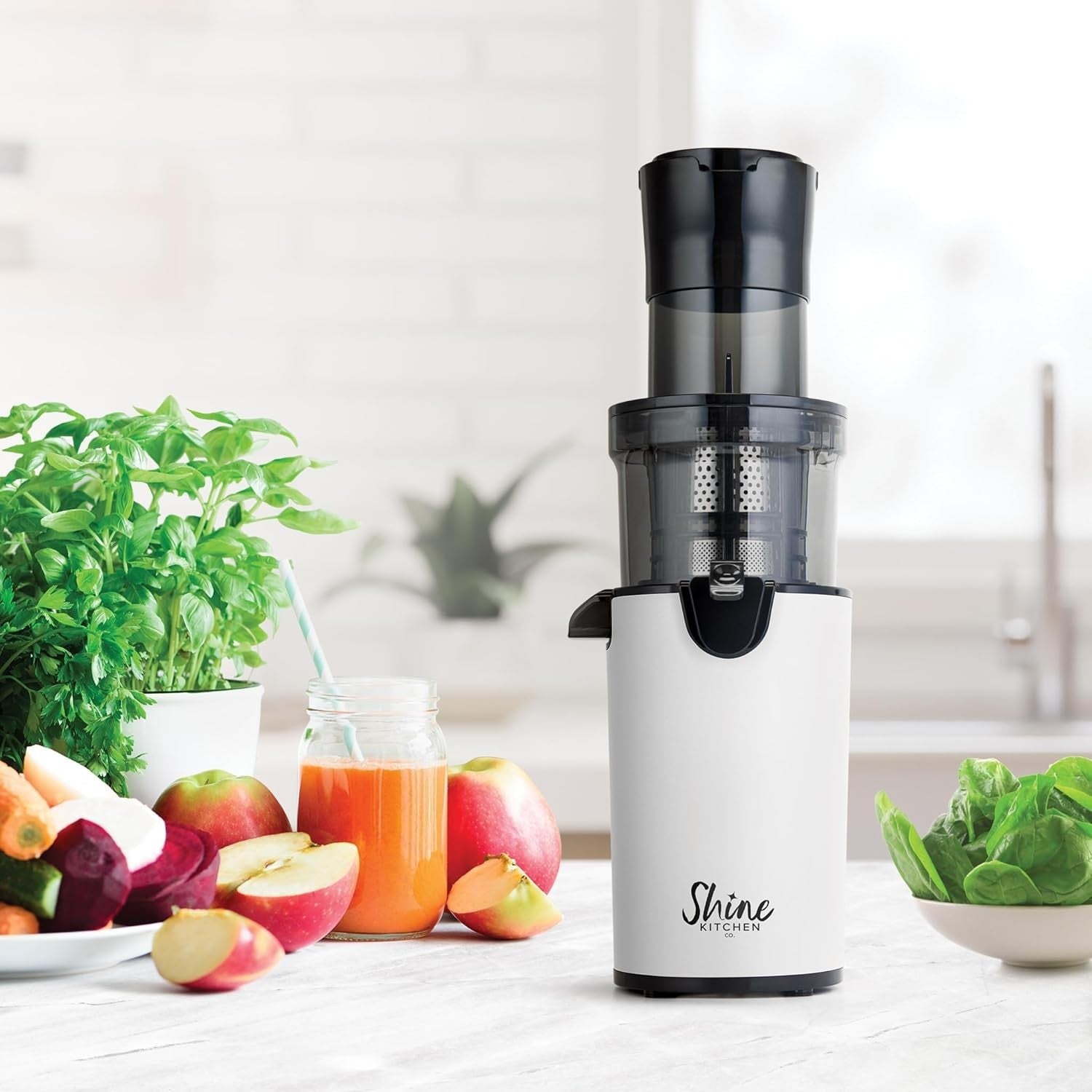 XL Mouth Cold Press Juicer Compact Stainless Steel Easy Clean High Yield