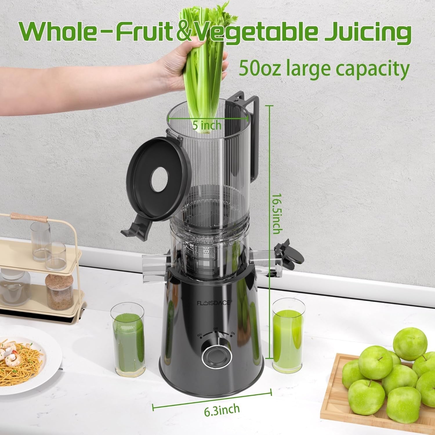 Black Cold Press Juicer 5in Feed Chute Whole Fruit High Torque Easy Clean