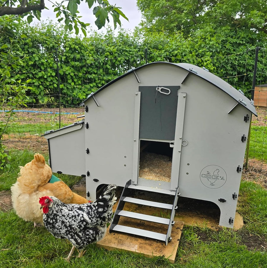 Medium Plastic Chicken Coop House Waterproof 6 Hens