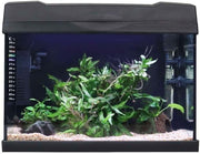 19L Tropical LED Fish Tank Kit with Filter, Heater & Light – Desktop