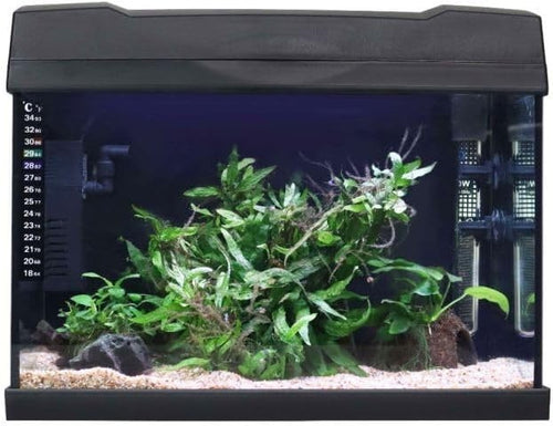 19L Tropical LED Fish Tank Kit with Filter, Heater & Light – Desktop