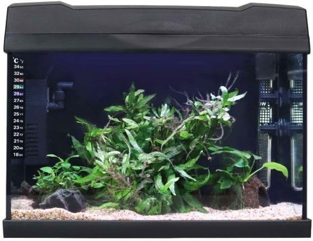 19L Tropical LED Fish Tank Kit with Filter, Heater & Light – Desktop