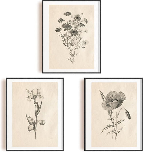 Vintage Botanical Wall Art Prints Set 6pc 8x10in Unframed