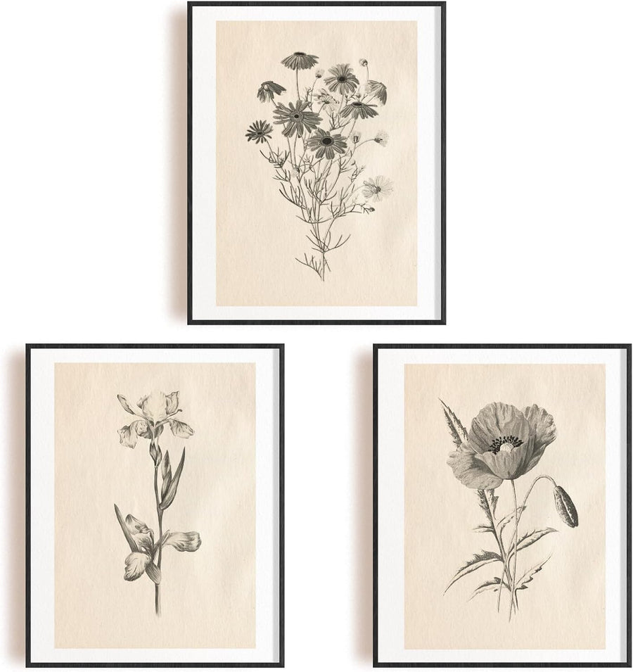 Vintage Botanical Wall Art Prints Set 6pc 8x10in Unframed