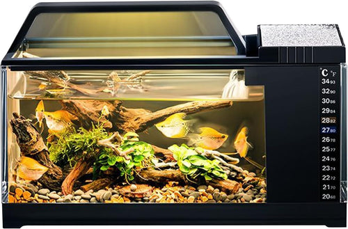 Small LED Fish Tank with Quiet Pump & Self-Cleaning | Desktop Aquarium