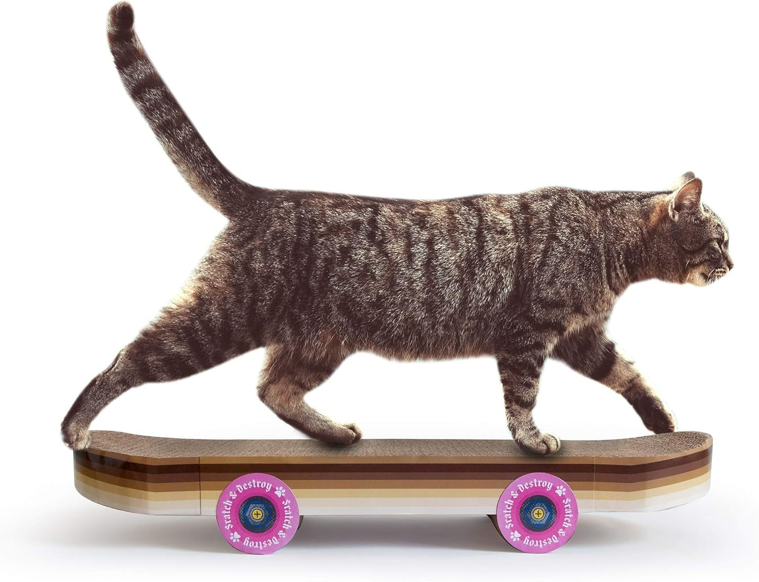 Cat Scratcher Skateboard Cardboard Board Indoor Kitten Toy