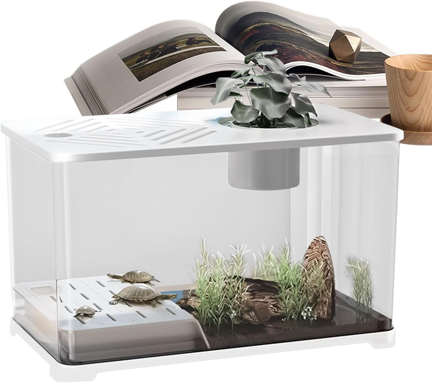 10G Fish Tank Kit | Large Aquarium w/ Turtle Resting Area & Plants