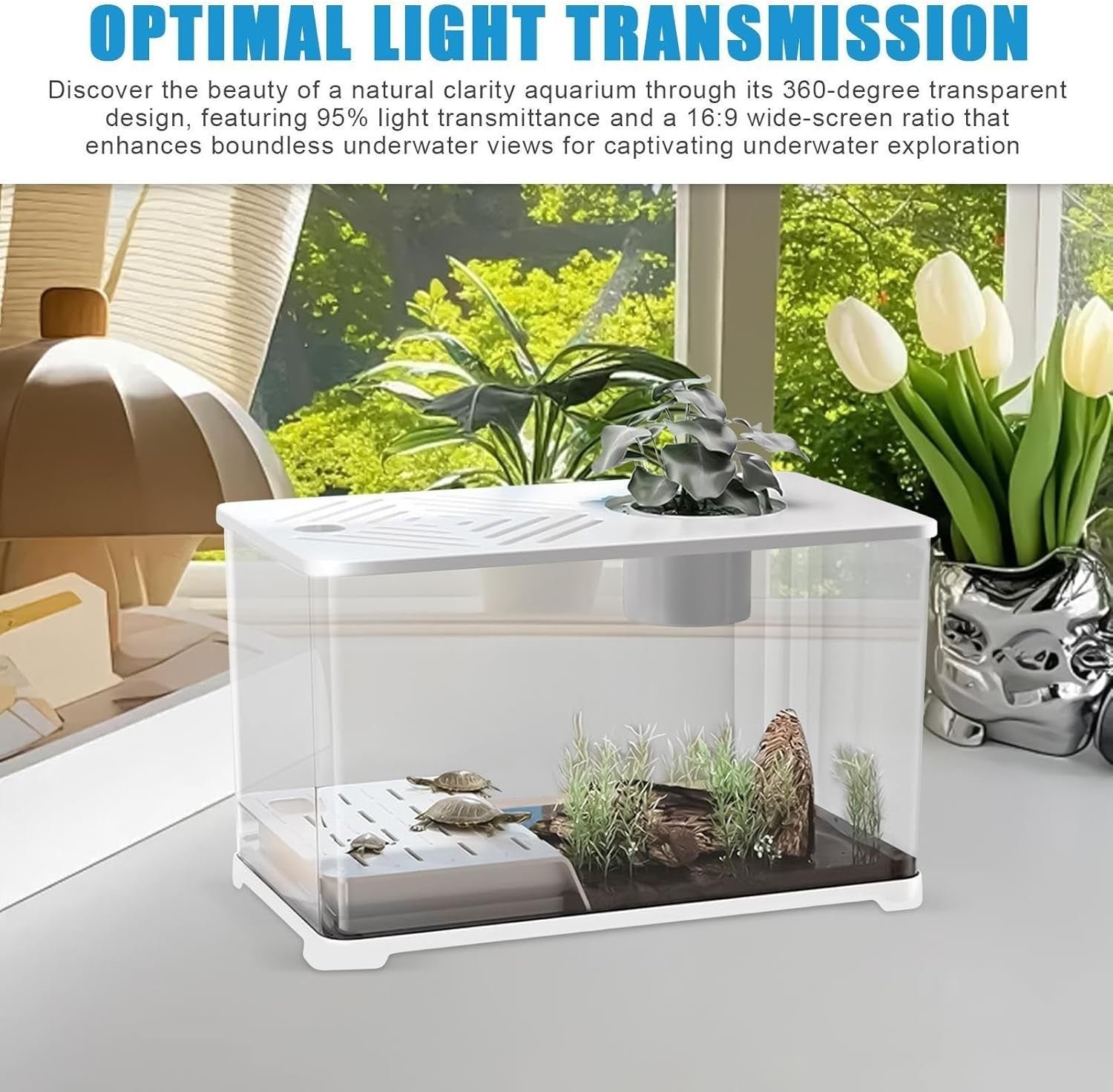 10G Fish Tank Kit | Large Aquarium w/ Turtle Resting Area & Plants