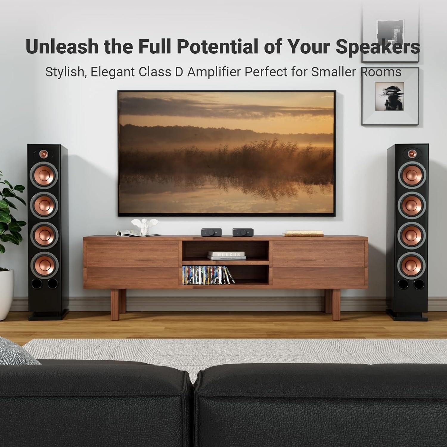 300W Class D Stereo Power Amplifier TPA3255 HiFi 48V