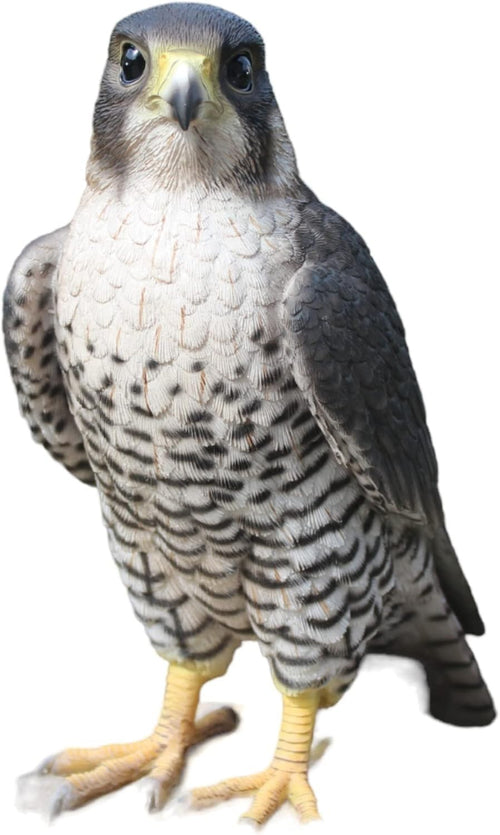 Realistic Peregrine Falcon Resin Ornament • Garden Bird Statue 10.2cm