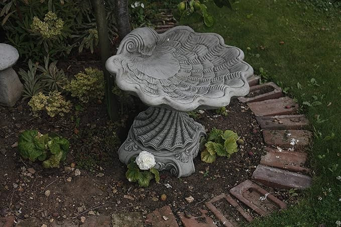 Shell Design Bird Bath – Detailed Concrete Garden Ornament Outdoor Feeder