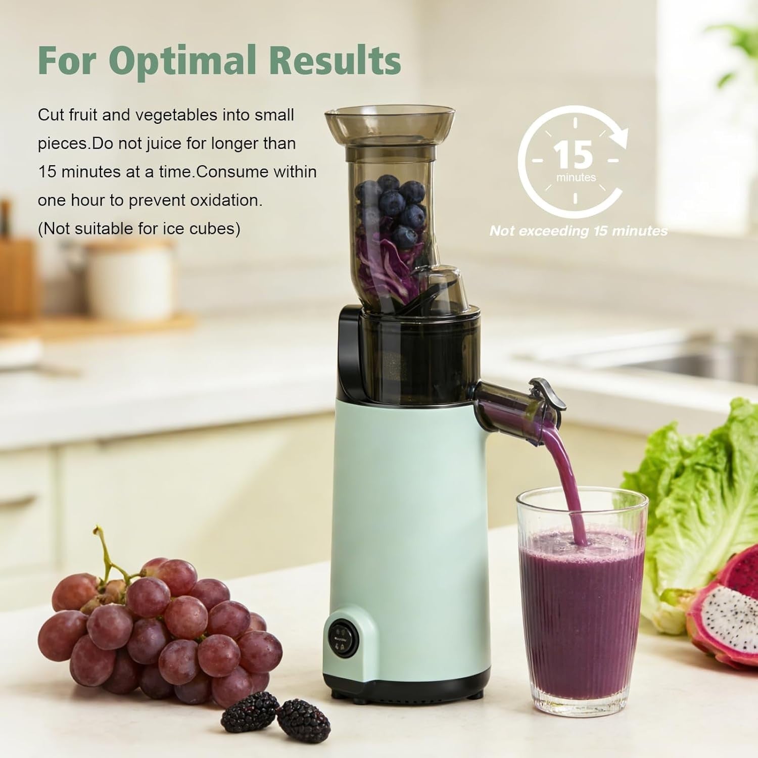 Compact Cold Press Juicer Slow Masticating High Yield Easy Clean