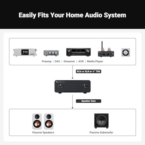 V3 Mono 2-Pack HiFi Power Amplifier 240W Class-D RCA XLR Balanced 48V