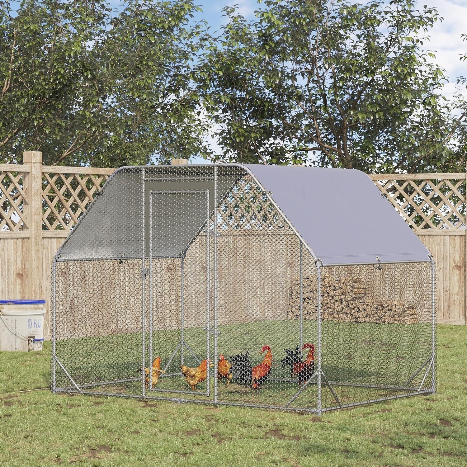 Walk In Chicken Run Metal Poultry Enclosure with Roof 4–6 Hens