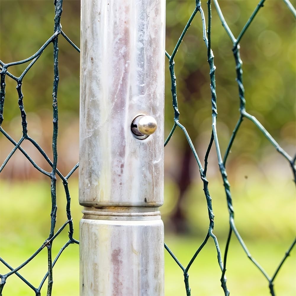 Large Walk In Chicken Run 5.8x3m Galvanised Poultry Pen