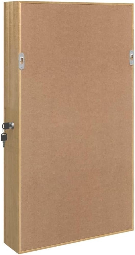 Brown Wall Mounted LED Jewellery Organizer Mirror Lockable Cabinet
