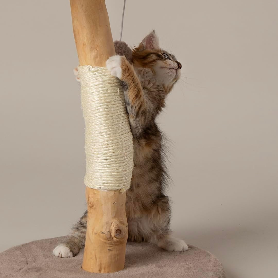 Luxury Cat Scratching Plush Bed Natural Wood Sisal Post Indoor