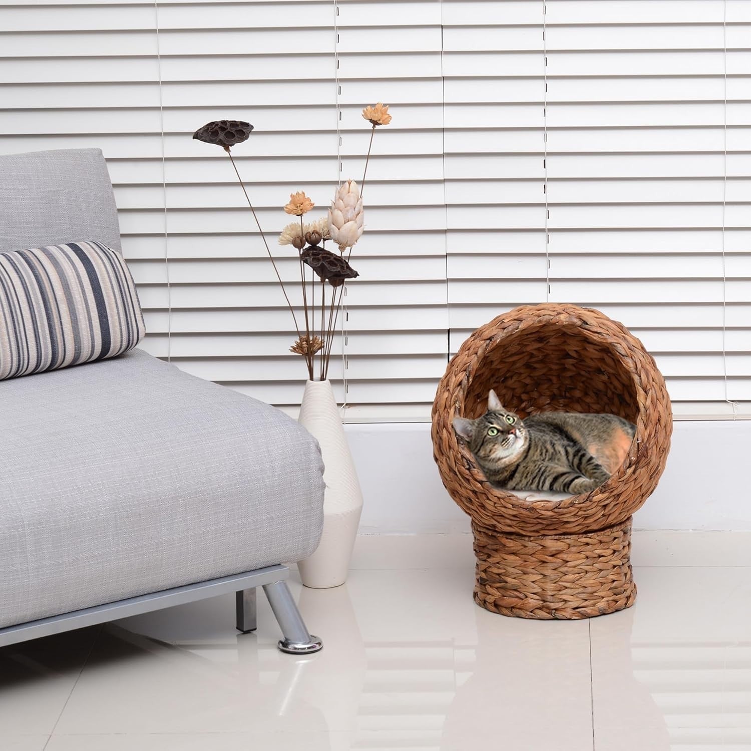 Raised Wicker Cat House Bed Water Hyacinth Basket w Soft Cushion