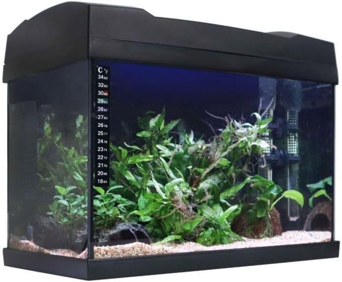 19L Tropical LED Fish Tank Kit with Filter, Heater & Light – Desktop