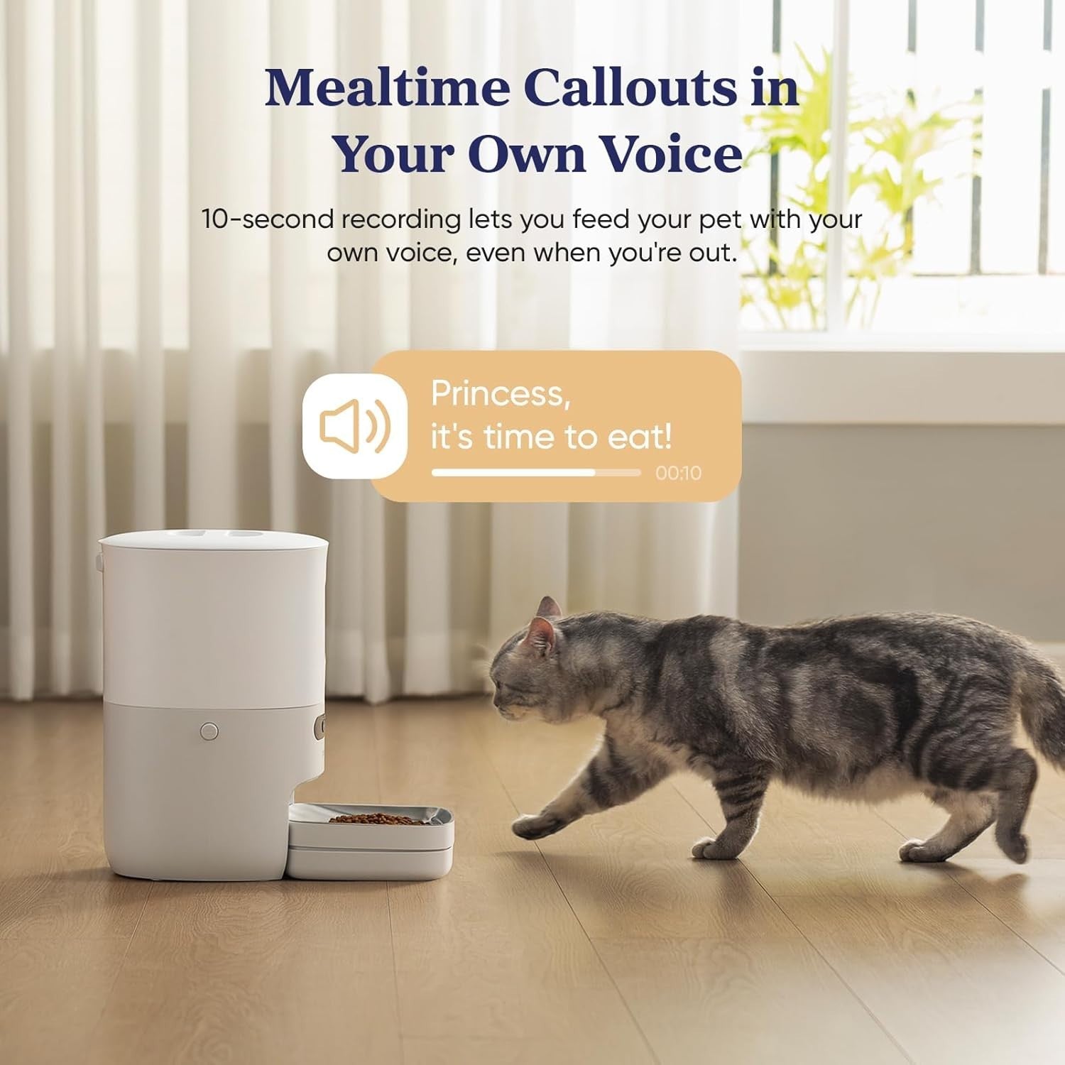 Smart Pet Feeder WiFi App Control Scale 3.6L Auto Cat Dog Feeder