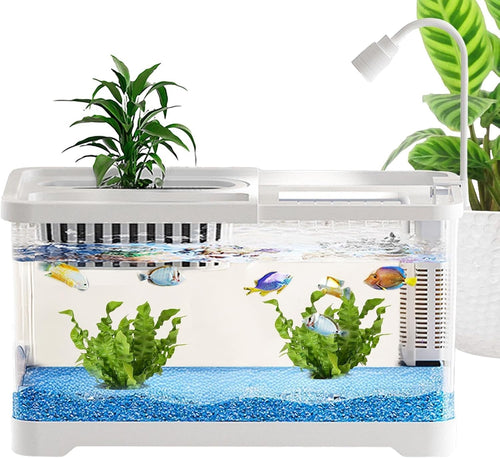 Small Betta Fish Tank with Hydroponic Basket Desktop Aquarium Kit