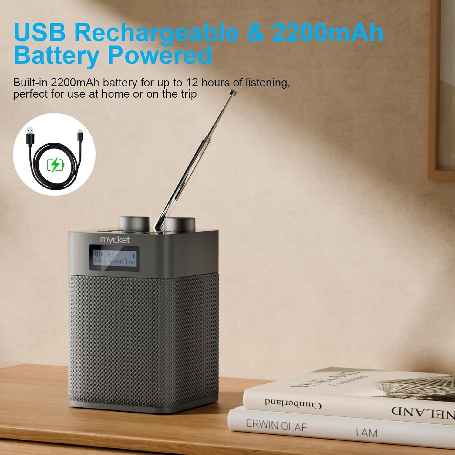 Portable DAB+ FM Radio Bluetooth USB Rechargeable 80 Presets